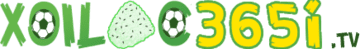 bóng đá nhựa tv
